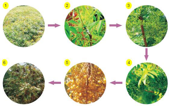 20211225_163147_001.jpg 20211225_163147_001.jpg